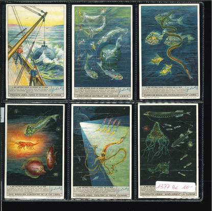 Immagine di 1360 - 900 METRI SOTTO IL MARE --BELGA