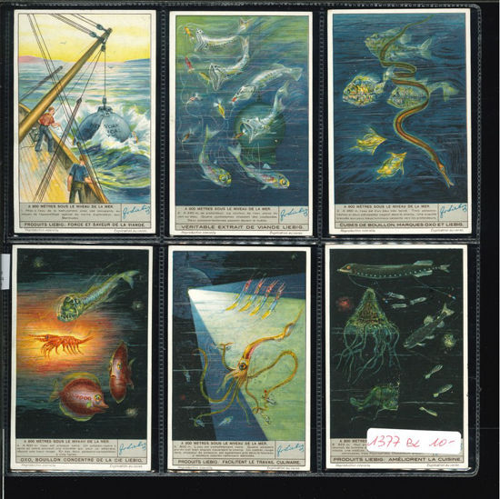 Immagine di 1360 - 900 METRI SOTTO IL MARE --BELGA