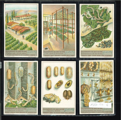 Immagine di 1370 - L'ALLEVAMENTO DEL BACO DA SETA-ITALIANA