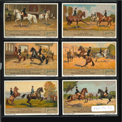 Immagine di 1371 - ALTA SCUOLA D'EQUITAZIONE-ITALIANA