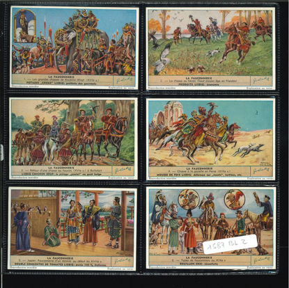 Immagine di 1585 - CACCIA COL FALCONE - La Fauconnerie-BELGA