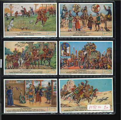 Immagine di 1585 - CACCIA COL FALCONE - La Fauconnerie-BELGA