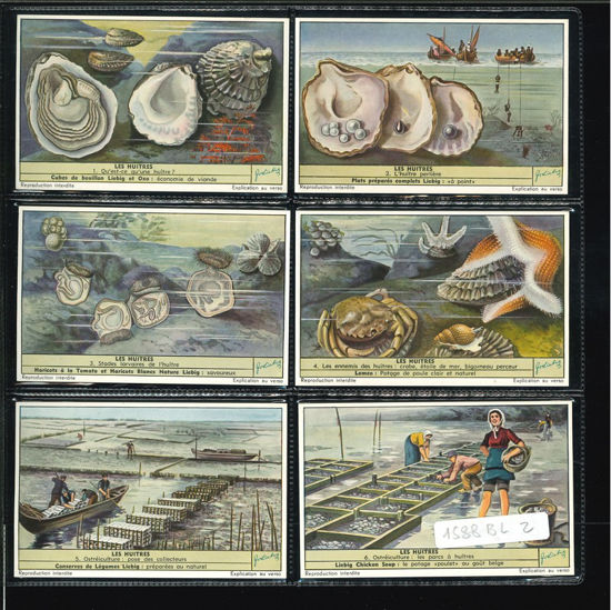 Immagine di 1596 - LE OSTRICHE - Les huitres-BELGA