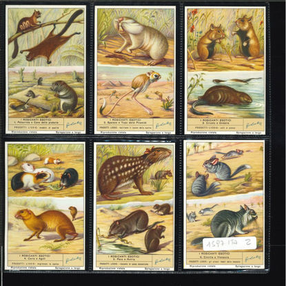 Immagine di 1600 - I ROSICANTI ESOTICI-ITALIANA