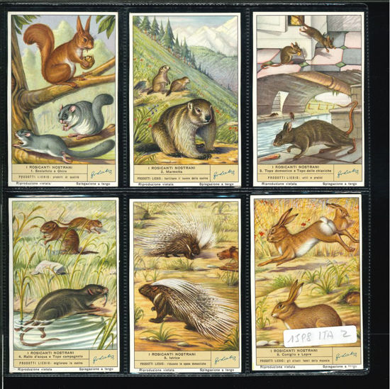 Immagine di 1601 - I ROSICANTI NOSTRANI-ITALIANA