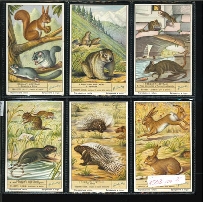 Immagine di 1601 - I ROSICANTI NOSTRANI-ITALIANA