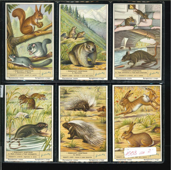 Immagine di 1601 - I ROSICANTI NOSTRANI-ITALIANA