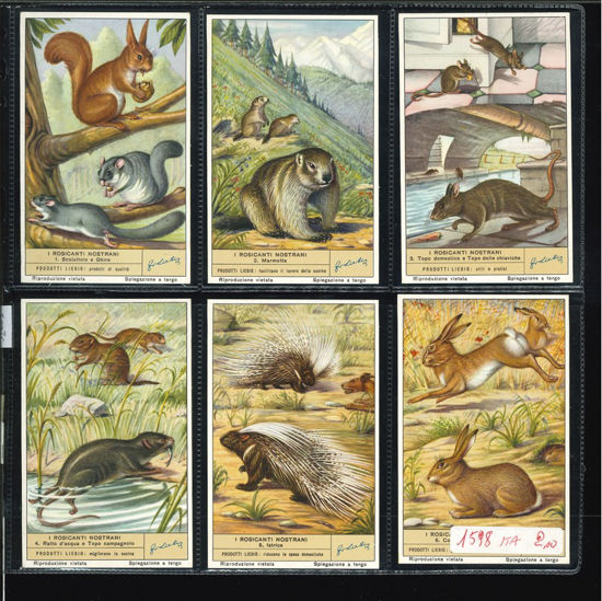 Immagine di 1601 - I ROSICANTI NOSTRANI-ITALIANA