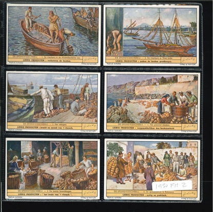 Immagine di 1450 - LA PESCA DELLE SPUGNE - -FIAMMINGA