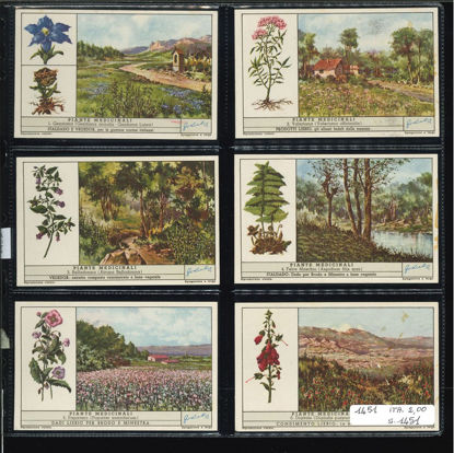 Immagine di 1451 - PIANTE MEDICINALI 2°-ITALIANA