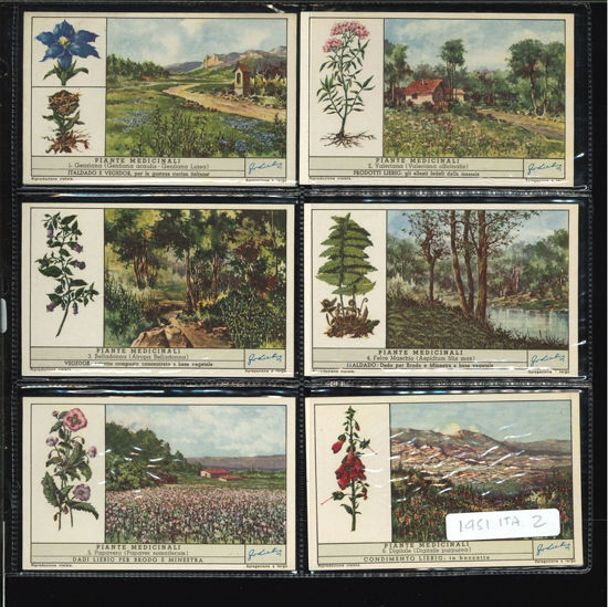 Immagine di 1451 - PIANTE MEDICINALI 2°-ITALIANA