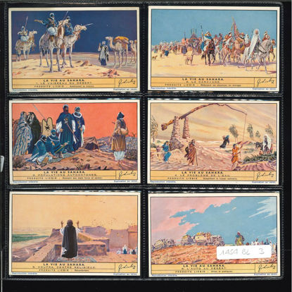 Immagine di 1454 - LA VITA AL SAHARA - La vie au Sahara-BELGA