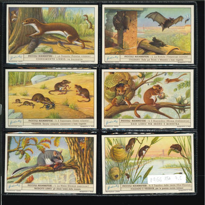 Immagine di 1467 - PICCOLI MAMMIFERI-ITALIANA