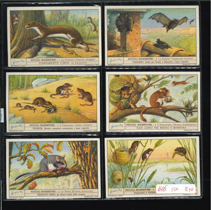 Immagine di 1467 - PICCOLI MAMMIFERI-ITALIANA