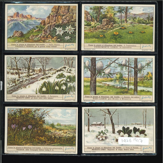 Immagine di 1477 -  LE PIANTE SI DIFENDONO DAL FREDDO-ITALIANA