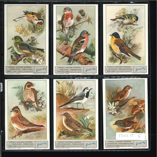 Immagine di 1747 - UCCELLI CANTORI EUROPEI 1°-ITALIANA
