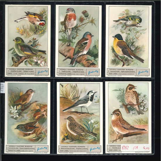 Immagine di 1747 - UCCELLI CANTORI EUROPEI 1°-ITALIANA