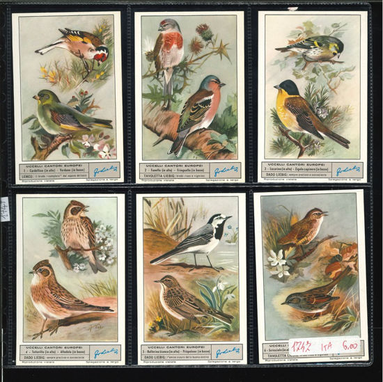 Immagine di 1747 - UCCELLI CANTORI EUROPEI 1°-ITALIANA