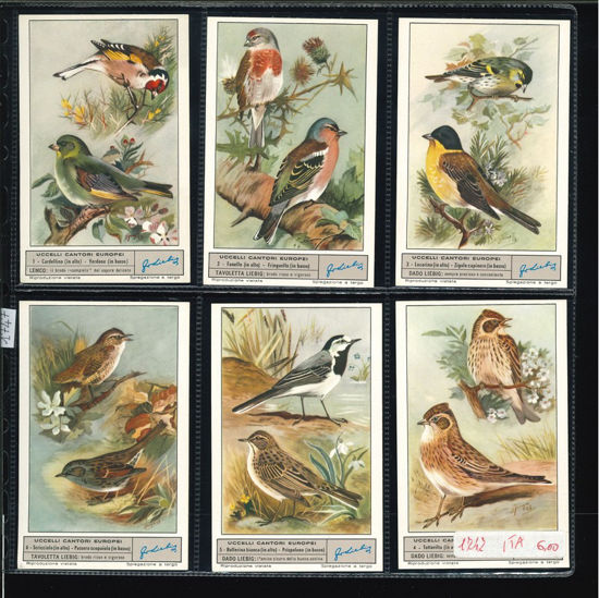 Immagine di 1747 - UCCELLI CANTORI EUROPEI 1°-ITALIANA