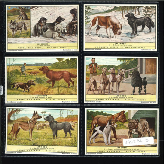 Immagine di 1752 - I CANI 3° - Les chiens-BELGA