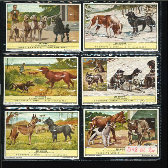 Immagine di 1752 - I CANI 3° - Les chiens-BELGA