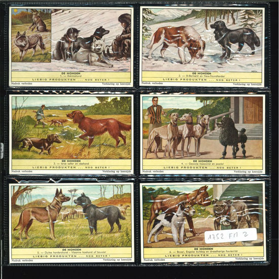 Immagine di 1752 - I CANI 3° - Les chiens-FIAMMINGA