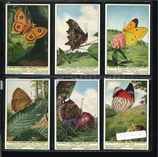 Immagine di 1759 - LETTERE E NUMERI NELLE FARFALLE 2°-BELGA