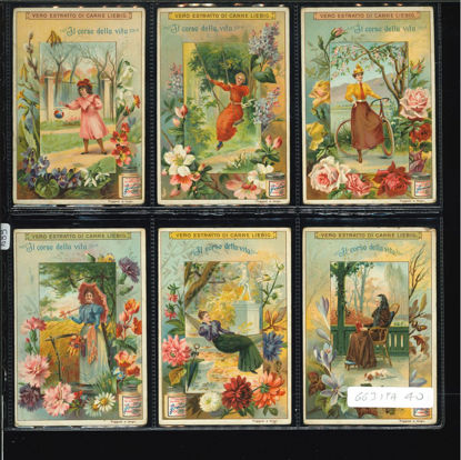 Immagine di 689 - IL CORSO DELLA VITA-ITALIANA