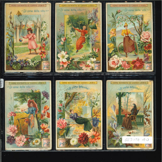 Immagine di 689 - IL CORSO DELLA VITA-ITALIANA