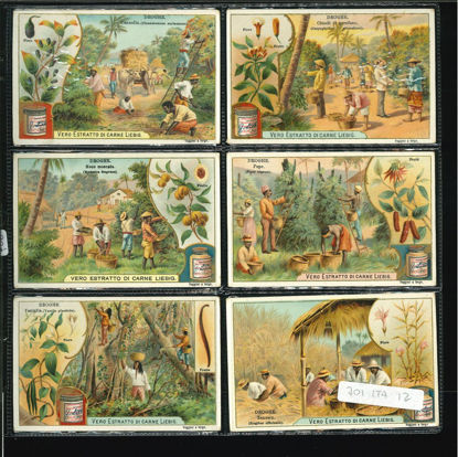 Immagine di 700 - DROGHE-ITALIANA