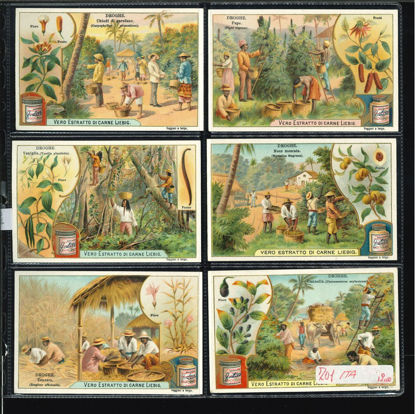 Immagine di 700 - DROGHE-ITALIANA