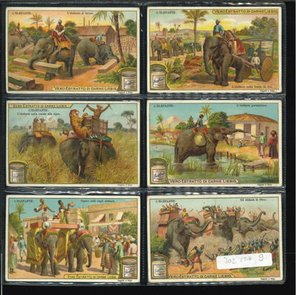 Immagine di 701 - L'ELEFANTE-ITALIANA