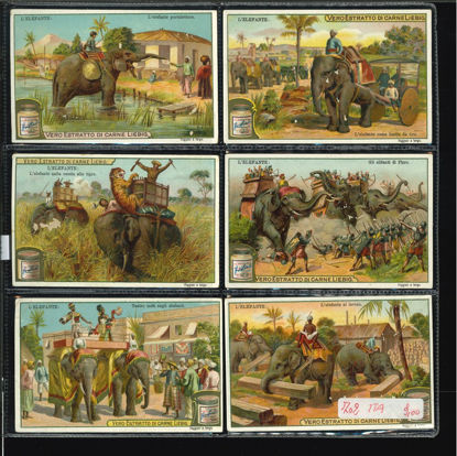 Immagine di 701 - L'ELEFANTE-ITALIANA