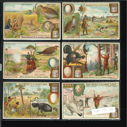 Immagine di 703 - GALLINACEI-ITALIANA