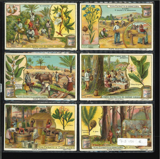 Immagine di 707 - PIANTE INDUSTRIALI-ITALIANA