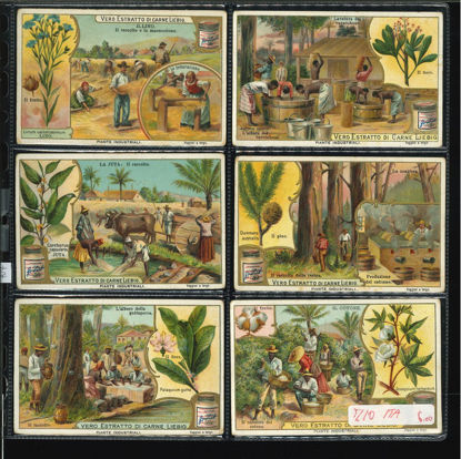 Immagine di 707 - PIANTE INDUSTRIALI-ITALIANA