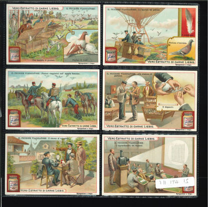 Immagine di 708 - IL PICCIONE VIAGGIATORE-ITALIANA