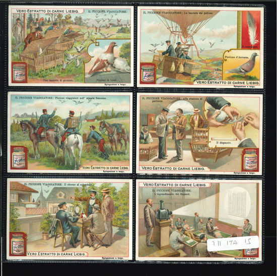 Immagine di 708 - IL PICCIONE VIAGGIATORE-ITALIANA