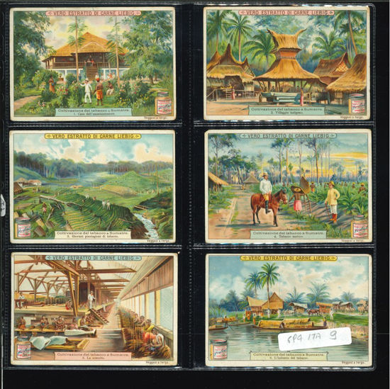 Immagine di 715 - COLTIVAZIONE DEL TABACCO A SUMATRA-ITALIANA