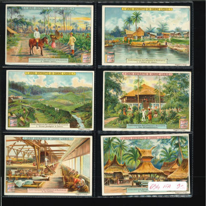 Immagine di 715 - COLTIVAZIONE DEL TABACCO A SUMATRA-ITALIANA