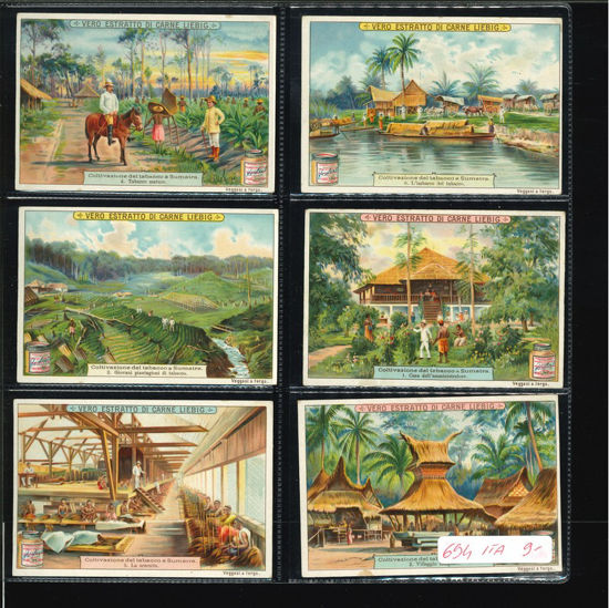 Immagine di 715 - COLTIVAZIONE DEL TABACCO A SUMATRA-ITALIANA