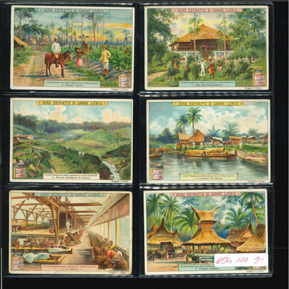 Immagine di 715 - COLTIVAZIONE DEL TABACCO A SUMATRA-ITALIANA