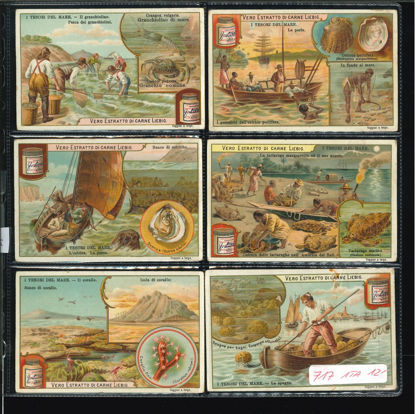 Immagine di 716 - I TESORI DEL MARE-ITALIANA