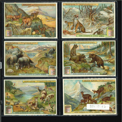 Immagine di 958 - FAUNA ALPINA-ITALIANA