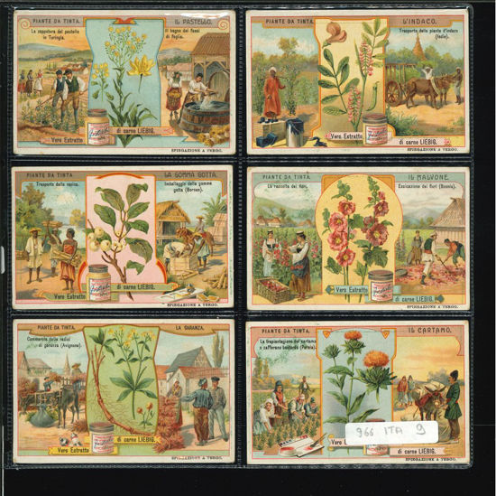 Immagine di 969 - PIANTE DA TINTA-ITALIANA
