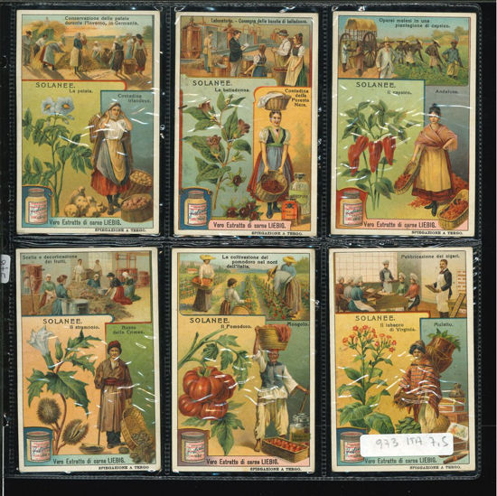 Immagine di 976 - SOLANEE-ITALIANA