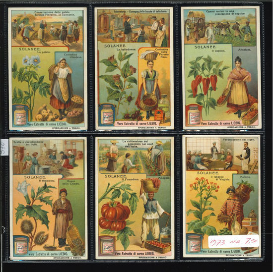 Immagine di 976 - SOLANEE-ITALIANA