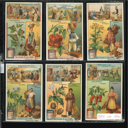 Immagine di 976 - SOLANEE-ITALIANA