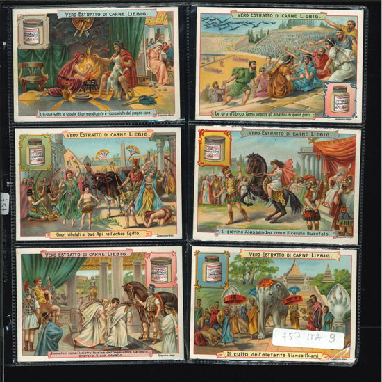 Immagine di 757 - ANIMALI CELEBRI NELLA STORIA 2°-ITALIANA