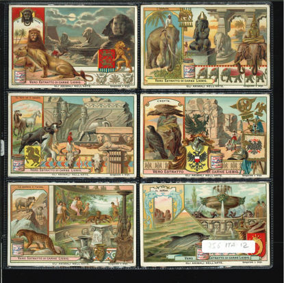 Immagine di 758 - GLI ANIMALI NELL'ARTE-ITALIANA